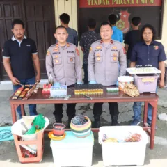 polres malinau obat tradisional