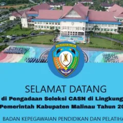 cpns malinau 2024 BKD Penerimaan cpns malinau 2024 BKD