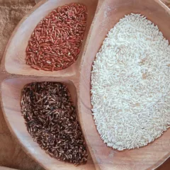 Beras_Adan_Landscape BERAS ADAN – Tiga varian Beras Adan khas Dataran Tinggi Krayan, yaitu hitam, merah, dan putih, disajikan dalam wadah kayu. (Sumber Foto: Balai Taman Nasional Kayan Mentarang)