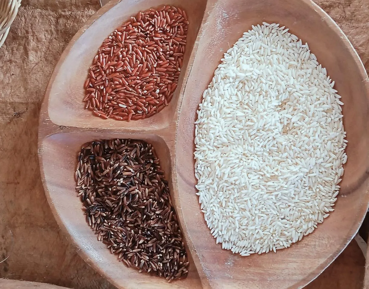 Beras_Adan_Landscape BERAS ADAN – Tiga varian Beras Adan khas Dataran Tinggi Krayan, yaitu hitam, merah, dan putih, disajikan dalam wadah kayu. (Sumber Foto: Balai Taman Nasional Kayan Mentarang)