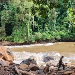Rencana Peledakan Jeram Sungai Bahau Tim terpadu penanganan jeram sungai Bahau, tertahan hampir sepekan menunggu kondisi cuaca memungkinkan. Sumber Danramil Pujungan Kodim 0910 Malinau