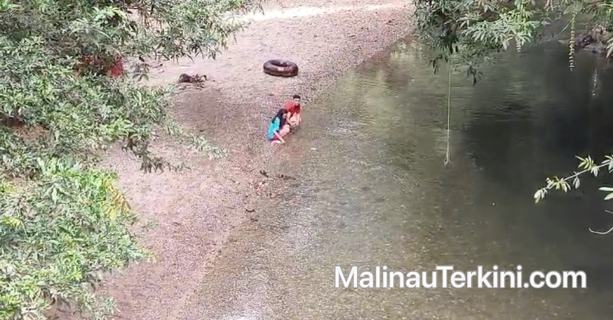 Pemandangan udara sungai Tane Olen yang dikelilingi hutan asri.