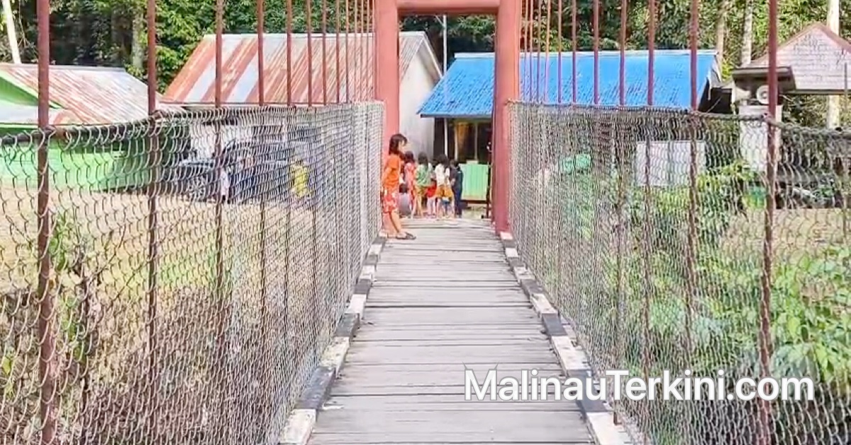 Jembatan kayu akses menuju area interaksi ikan di Tane Olen.