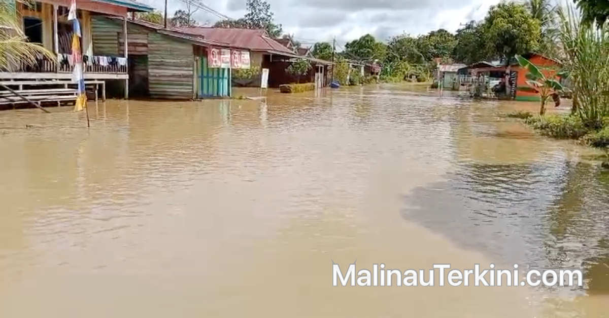 Foto pemukiman warga di Kabupaten Malinau yang terendam banjir dengan debit air yang tinggi menutupi badan jalan dan halaman rumah.