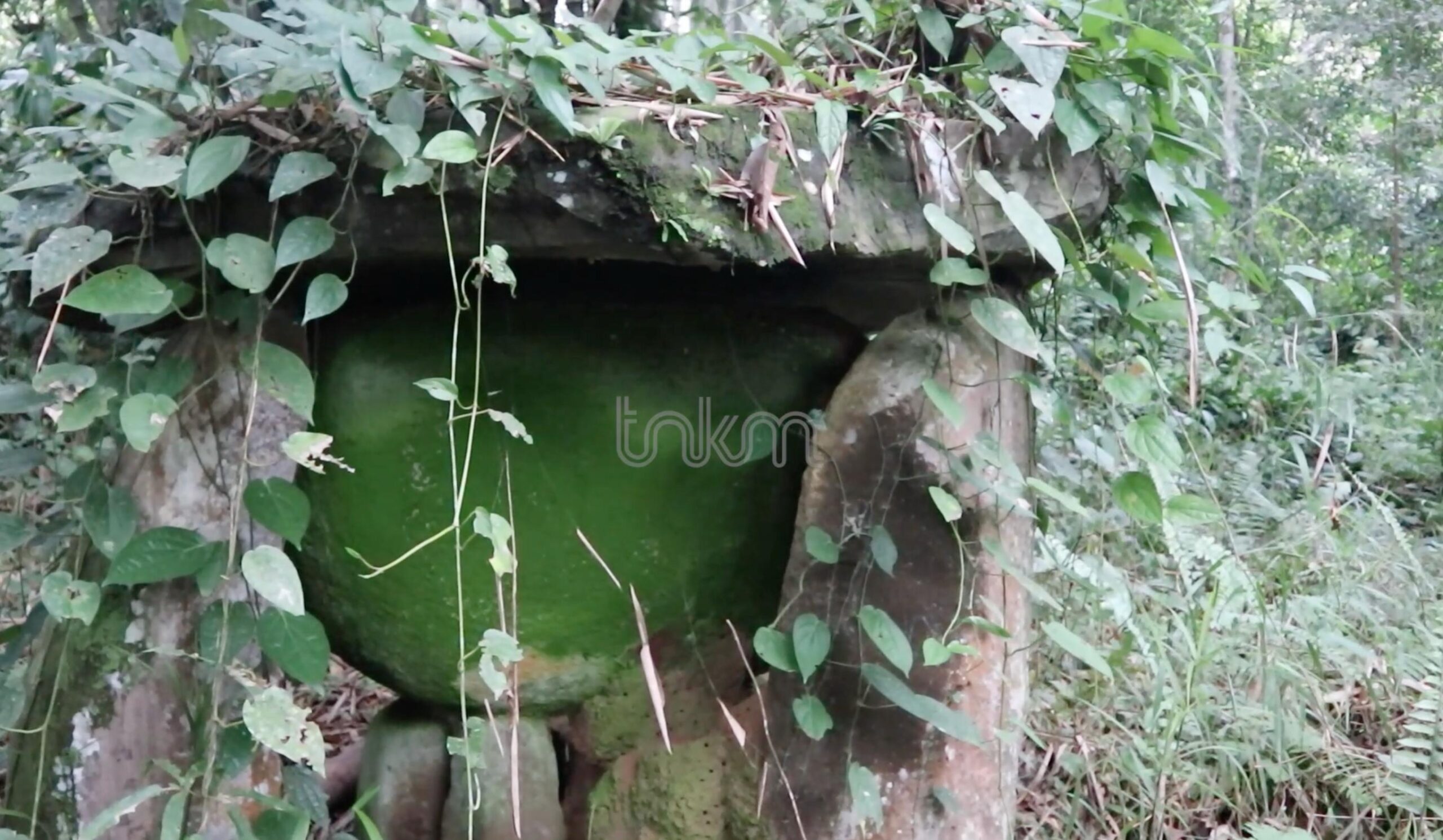 Struktur batu kuno di dalam hutan yang telah diselimuti lumut hijau tebal. Bentuknya menyerupai dolmen atau bagian dari kompleks situs bersejarah yang masih perlu diteliti lebih lanjut.