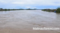 malinauterkini_Sungai Sesayap Banjir di Malinau Kota Februari 2026 Banjir di Kabupaten Malinau disebabkan luapan air sungai. Di perkotaan akibat kenaikan air Sungai Sesayap Malinau
