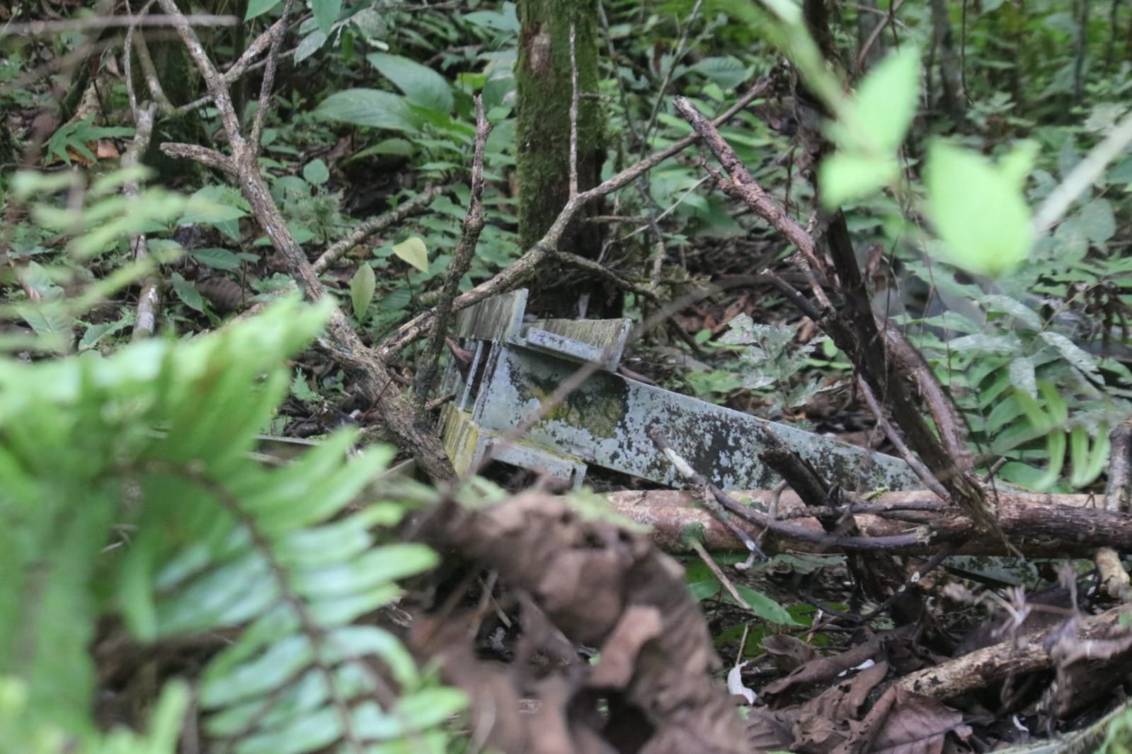 Bahan Jembatan rangka baja di Rimba Malinau
