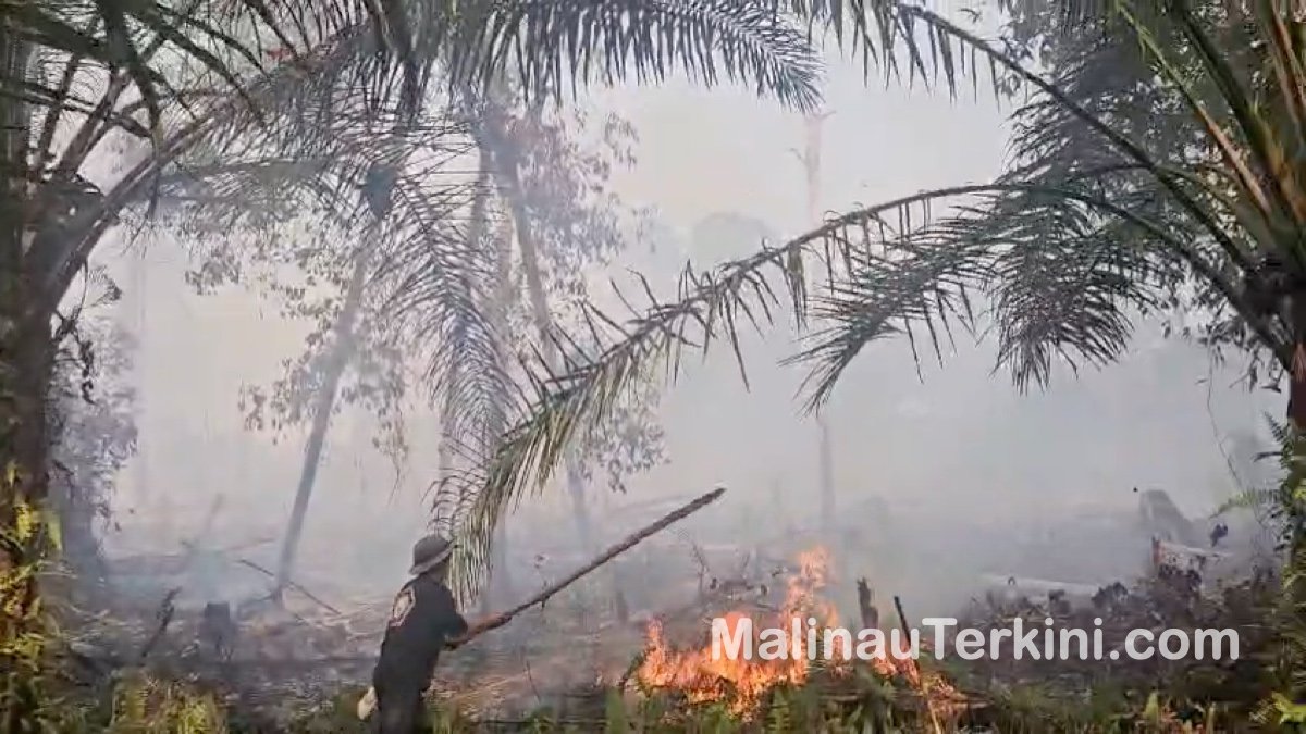 titik api karhutla di lahan gambut Desa Kelapis Malinau Utara.